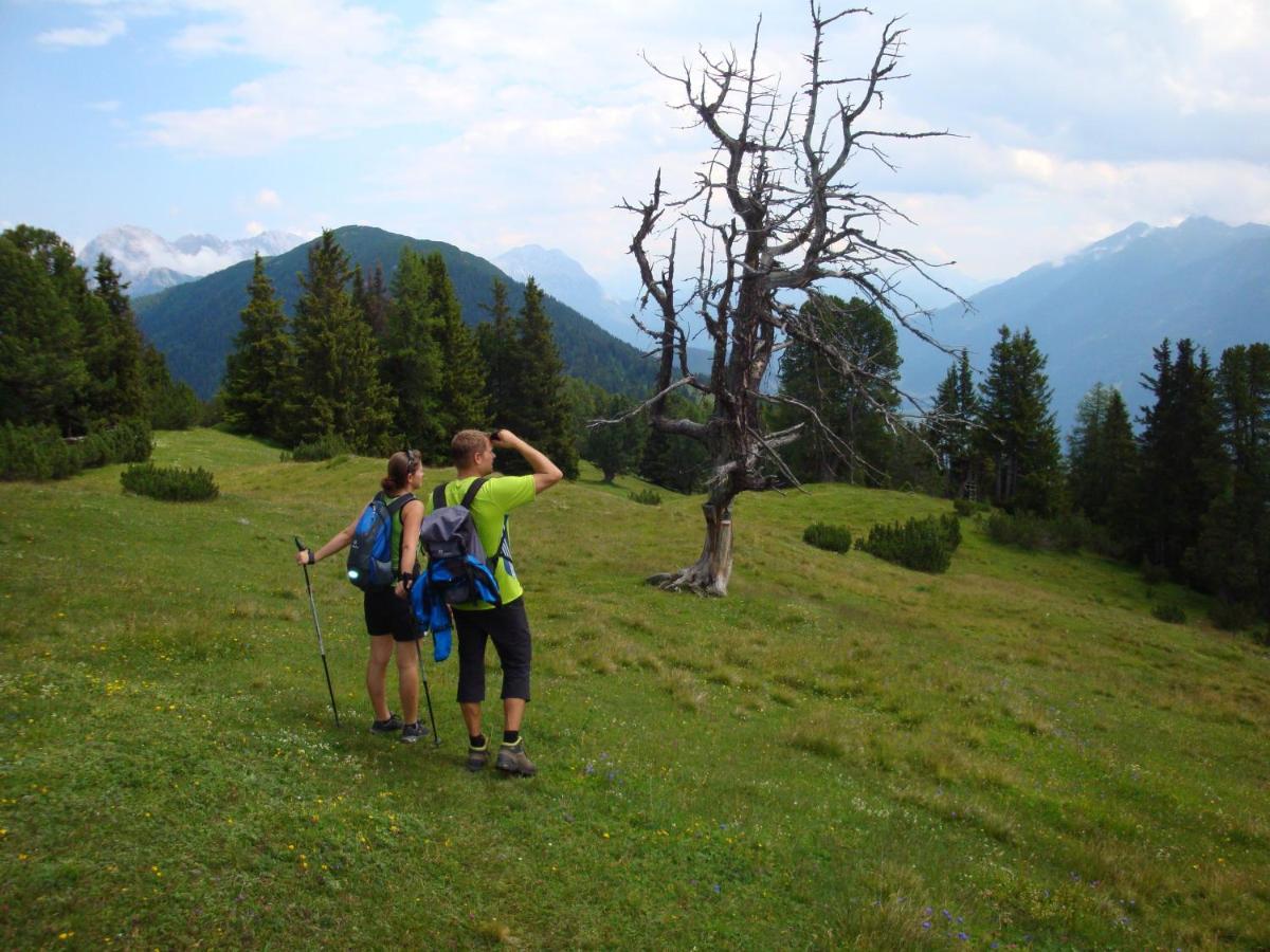 Activ-Family-Apart-Wisiol-Pitztal Sommercard Inklusive Jerzens Dış mekan fotoğraf